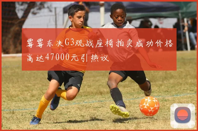 霉霉东决G3观战座椅拍卖成功价格高达47000元引热议